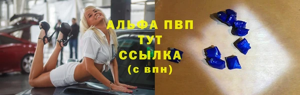 гидра Верхний Тагил